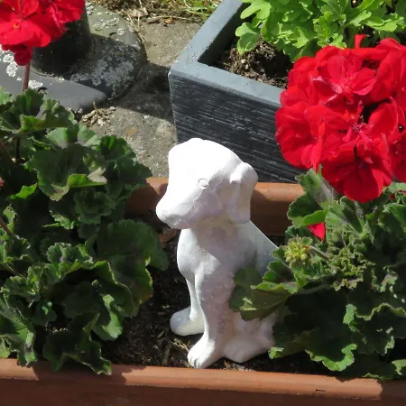 Gebauer-2 By Interhome Fuchshofen