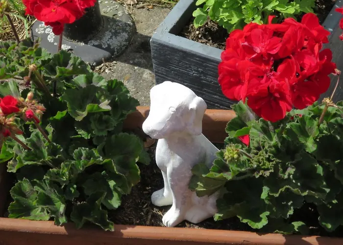 Gebauer-2 By Interhome Fuchshofen